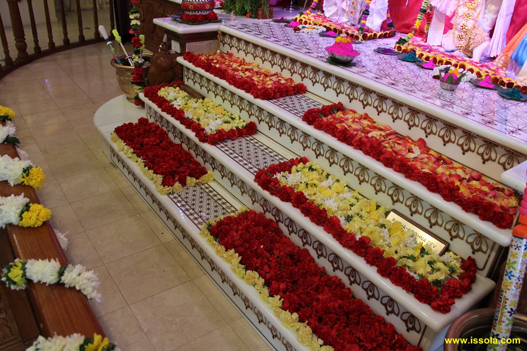05-Holi and Nar Narayan Dev Jayanti Fuldotsav